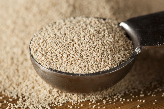 Yeast là men nở, nguyên liệu dùng để tạo độ nở xốp cho bánh yeast nguyen lieu tao do no xop cho banh