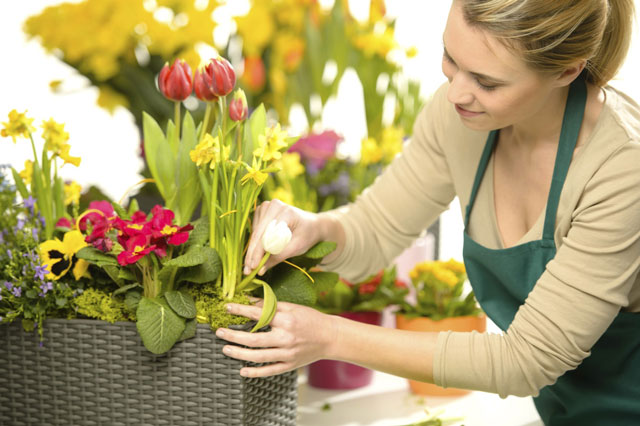 Hiện nay các khu nghỉ dưỡng, Kèo nhà cái world cup châu âu cao cấp luôn cần Florist Kèo nhà cái world cup châu âu cao cấp luôn cần Florist