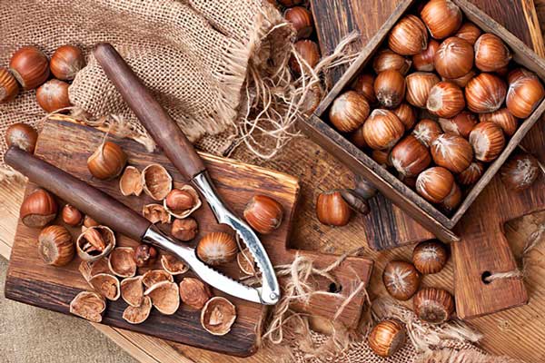 Hazelnut được bóc vỏ bằng dụng cụ riêng biệt ăn hạt Hazelnut