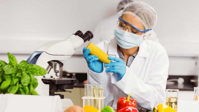 Vệ sinh an toàn thực phẩm là một trong những vấn đề cần quan tâm hàng đầu Vệ sinh an toàn thực phẩm