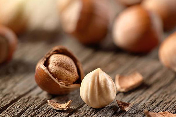 Hazelnut hay còn gọi là hạt phỉ - một loại hạt cực kỳ bổ dưỡng hạt Hazelnut