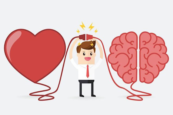 IQ và EQ cái nào quan trọng hơn? IQ và EQ
