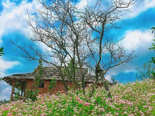 Mù Cang Chải Eco Lodge là khu nghỉ dưỡng theo mô hình du lịch sinh thái nha o mu cang chai eco lodge