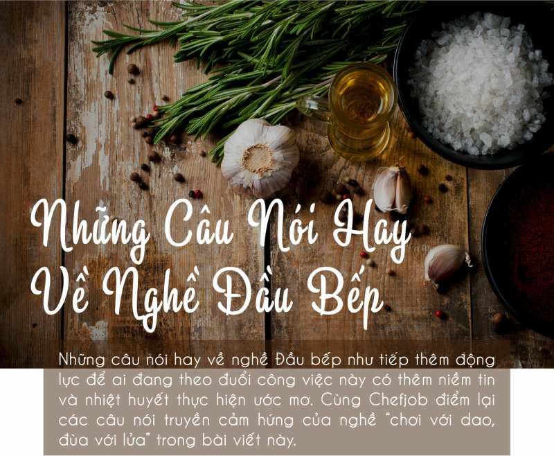 Những câu nói hay về nghề Lịch thi đấu WC 2026 nhung cau noi hay cua dau bep
