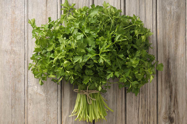Parsley hay còn gọi là ngò tây, có hình dạng tương đối giống rau ngò của Việt Nam parsley la ngo tay tuong doi giong rau ngo viet nam