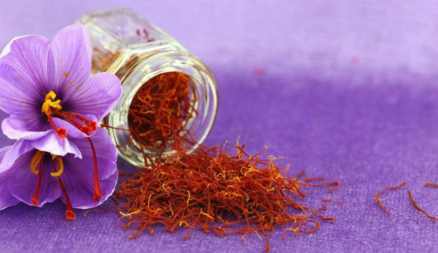 Saffron được biết đến là loại gia vị đắt đỏ trên thế giới saffron crocus