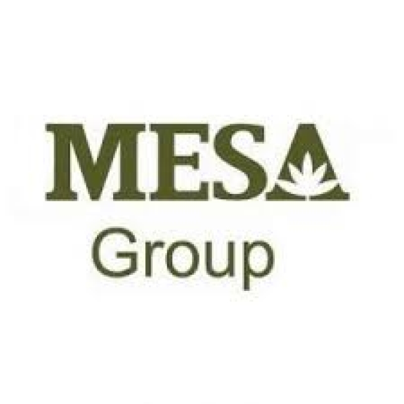 CHI NHÁNH CÔNG TY TNHH DỊCH VỤ VÀ THƯƠNG MẠI MESA 