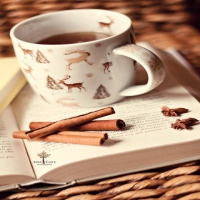Phục Vụ Cafe Diên Vĩ