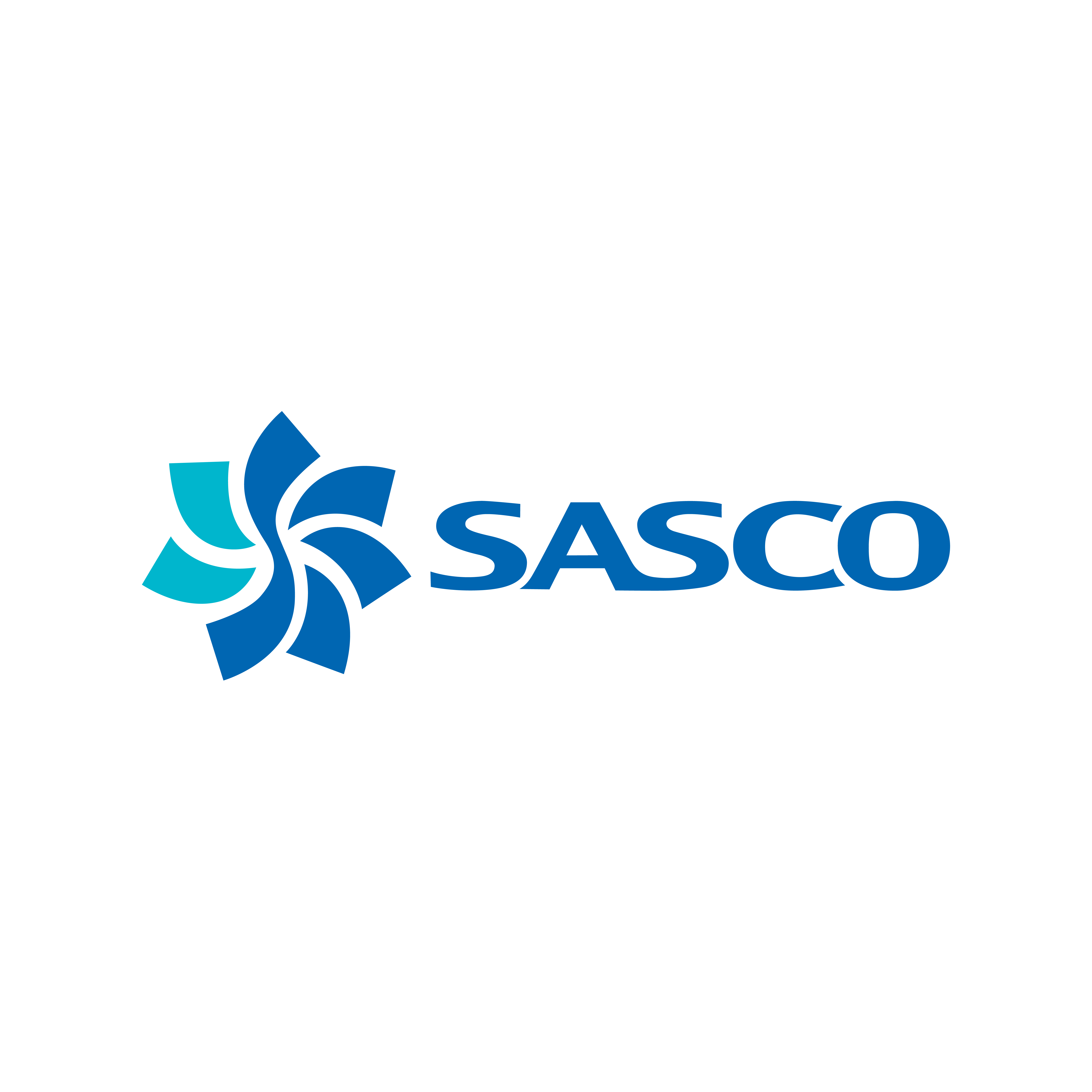 CTCP DỊCH VỤ HÀNG KHÔNG SÂN BAY TÂN SƠN NHẤT (SASCO)