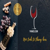 Nhân viên tổ Kinh doanh Showroom rượu vang